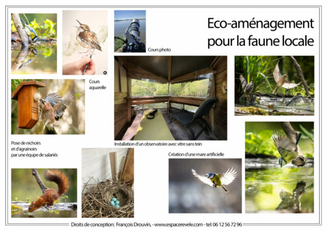 DROUVIN-Photo JARDIN REFUGE4